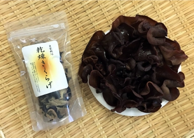 乾燥きくらげ